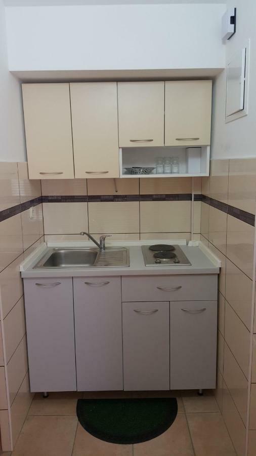 Apartmani Vesna ปิเนซิตซี ภายนอก รูปภาพ